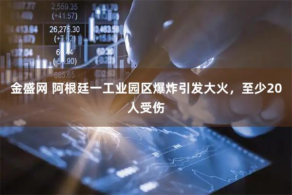金盛网 阿根廷一工业园区爆炸引发大火，至少20人受伤