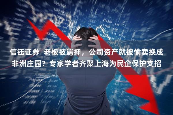 信钰证券  老板被羁押，公司资产就被偷卖换成非洲庄园？专家学者齐聚上海为民企保护支招